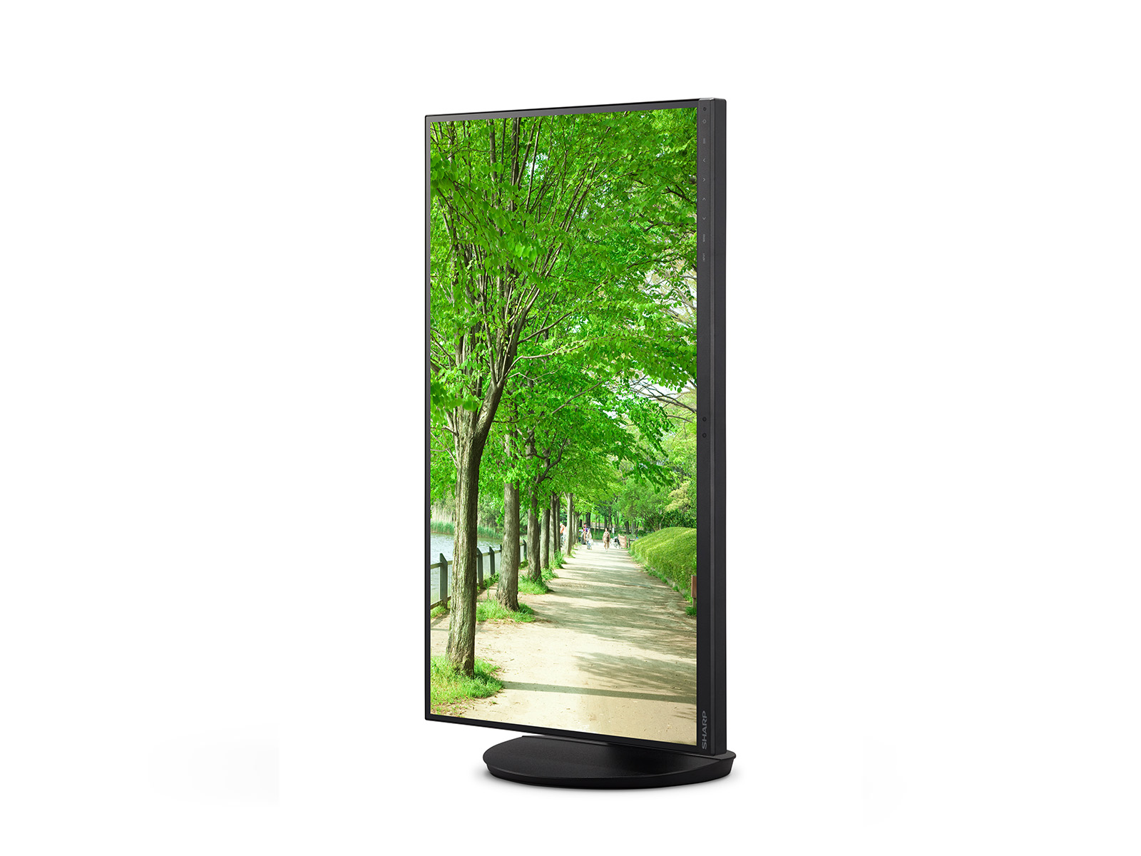 EA272Q-EA272U_BK-Right-Portrait-Content_1600x1200