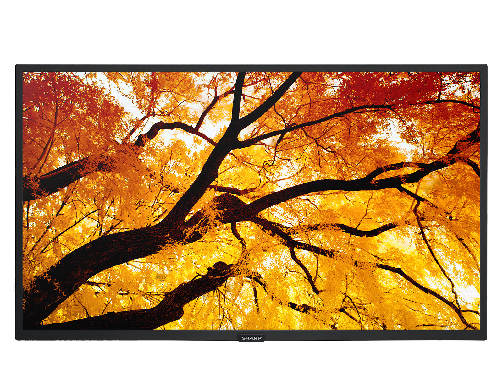 Sharp_M322_Landscape_Front_Content
