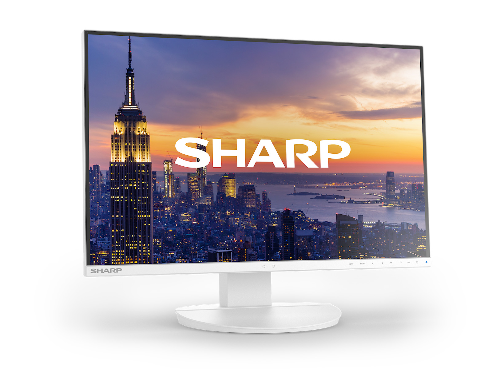 EA242W_angle_right_screen_1600x1200
