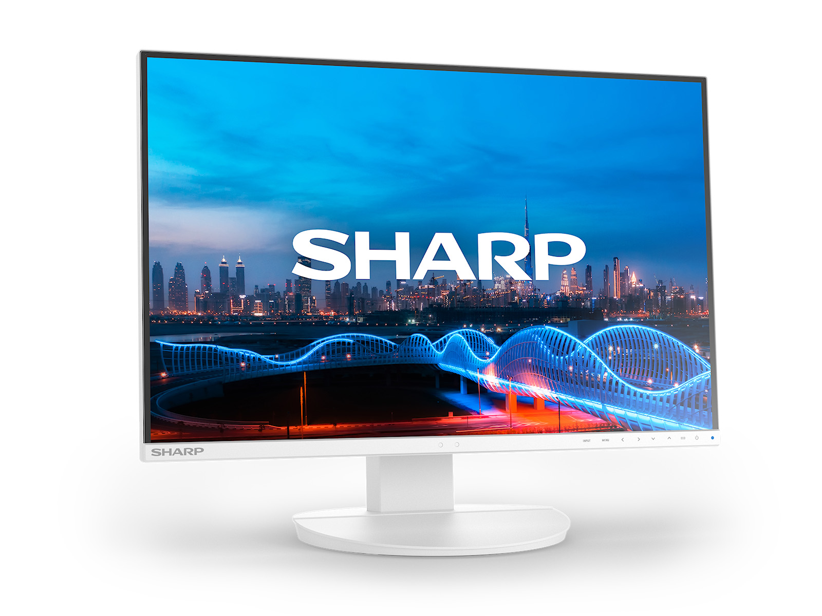 EA241W_angle_right_screen_1600x1200
